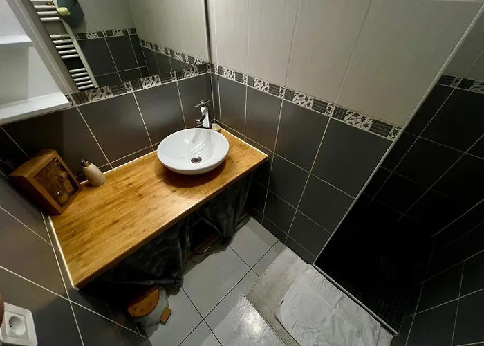 Le Saint-hilaire - Calme + Parking Appartement